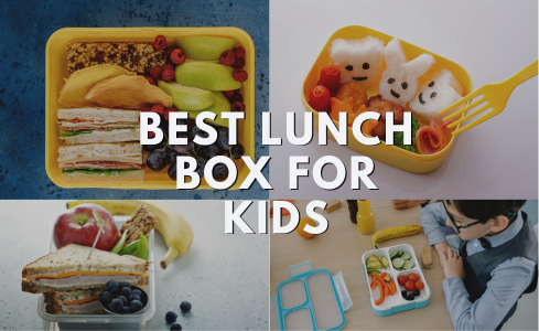 How to Choose the Best Lunch Box for Your Kids