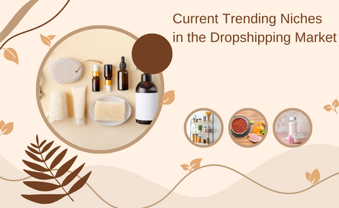 What are the Current Trending Niches in the Dropshipping Market?