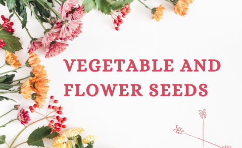 Vegetable and Flower Seeds