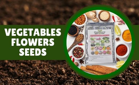 Vegetables & Flowers Seed