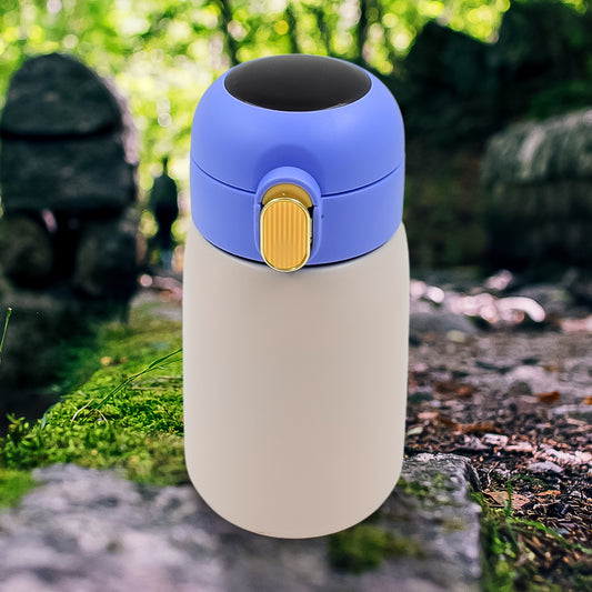 Vacuum insulated water bottle with temperature display