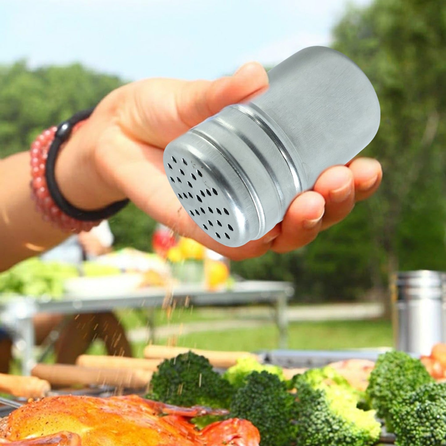 Multipurpose Stainless-Steel Spice Shaker Container (1 Pc)