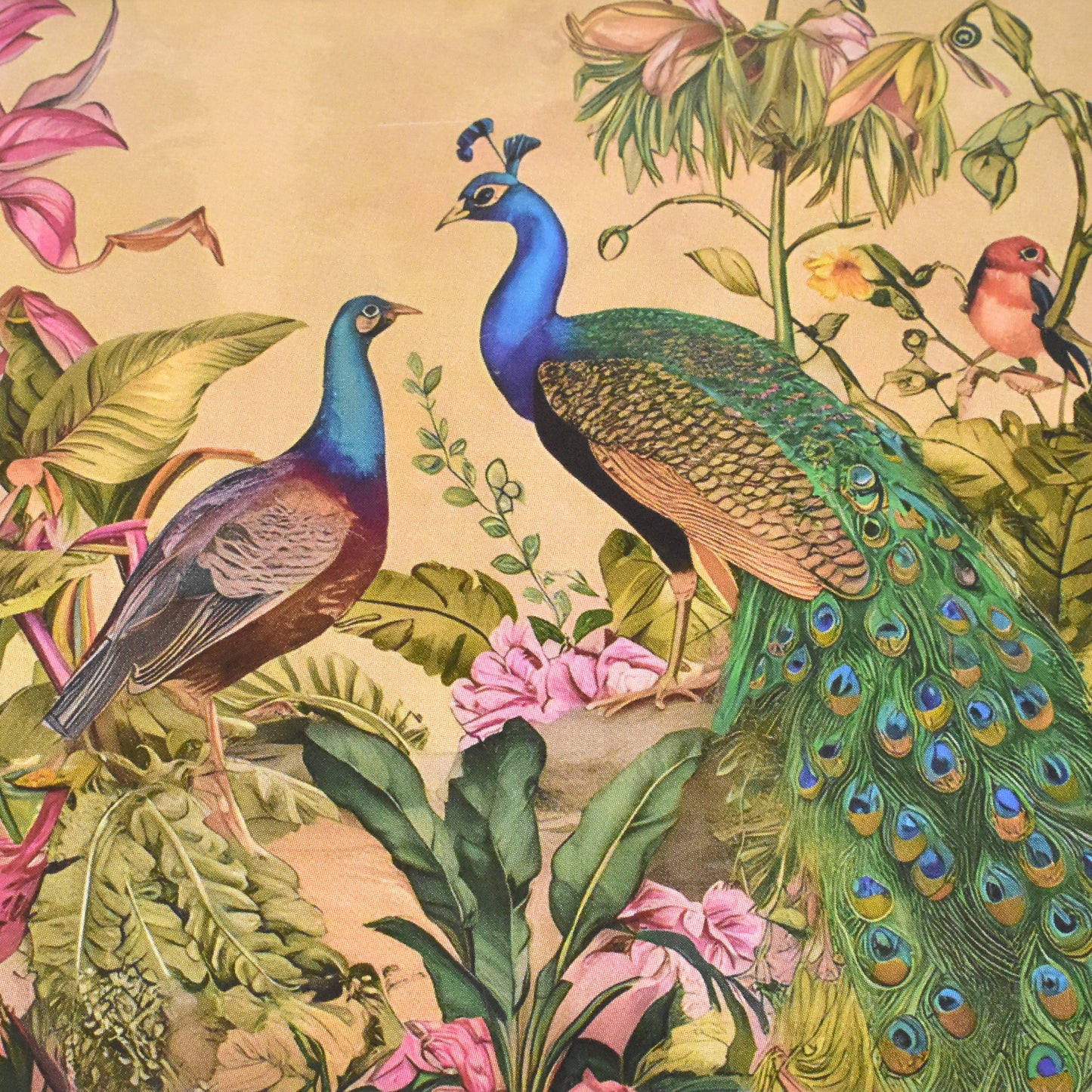 Delights Shagun Money Gift Envelopes (10 pcs), Return Gift For Sister ,  Gift