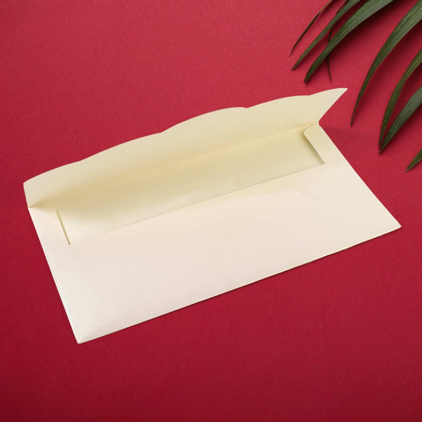 Delights Shagun Money Gift Envelopes (10 pcs), Return Gift For Sister , Gift