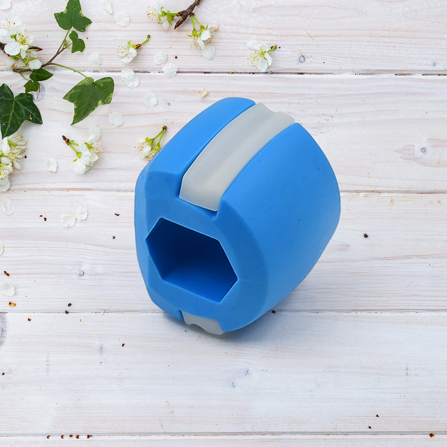 CN Blue Mouth Exerciser in hand