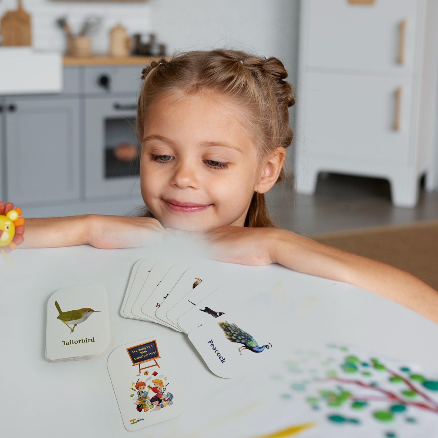 7-in-1 Kidkraft Early Learner Flashcard Combo Set ( 224 PC CARD)