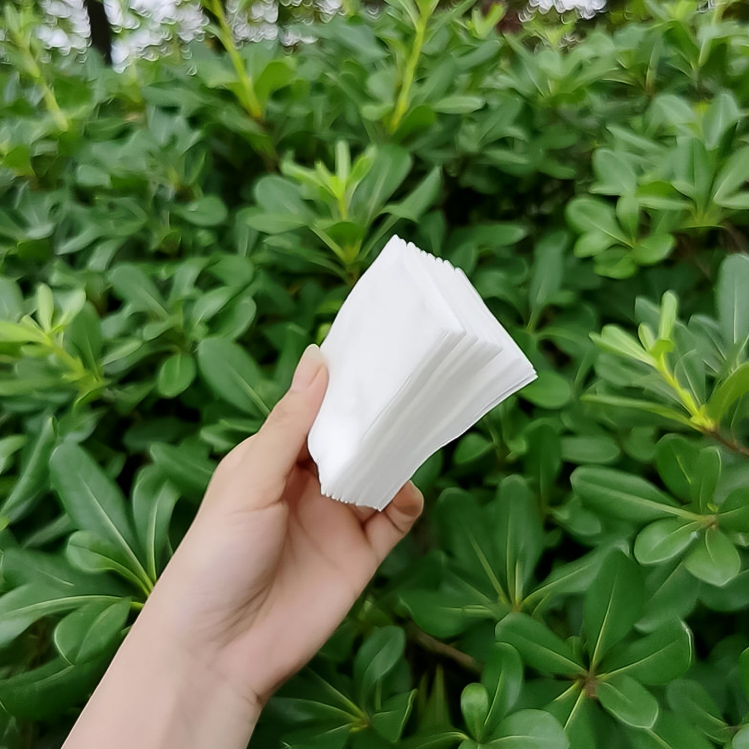 महिलाओं लड़कियों के लिए कॉटन मेकअप रिमूवर पैड (40 का पैक)