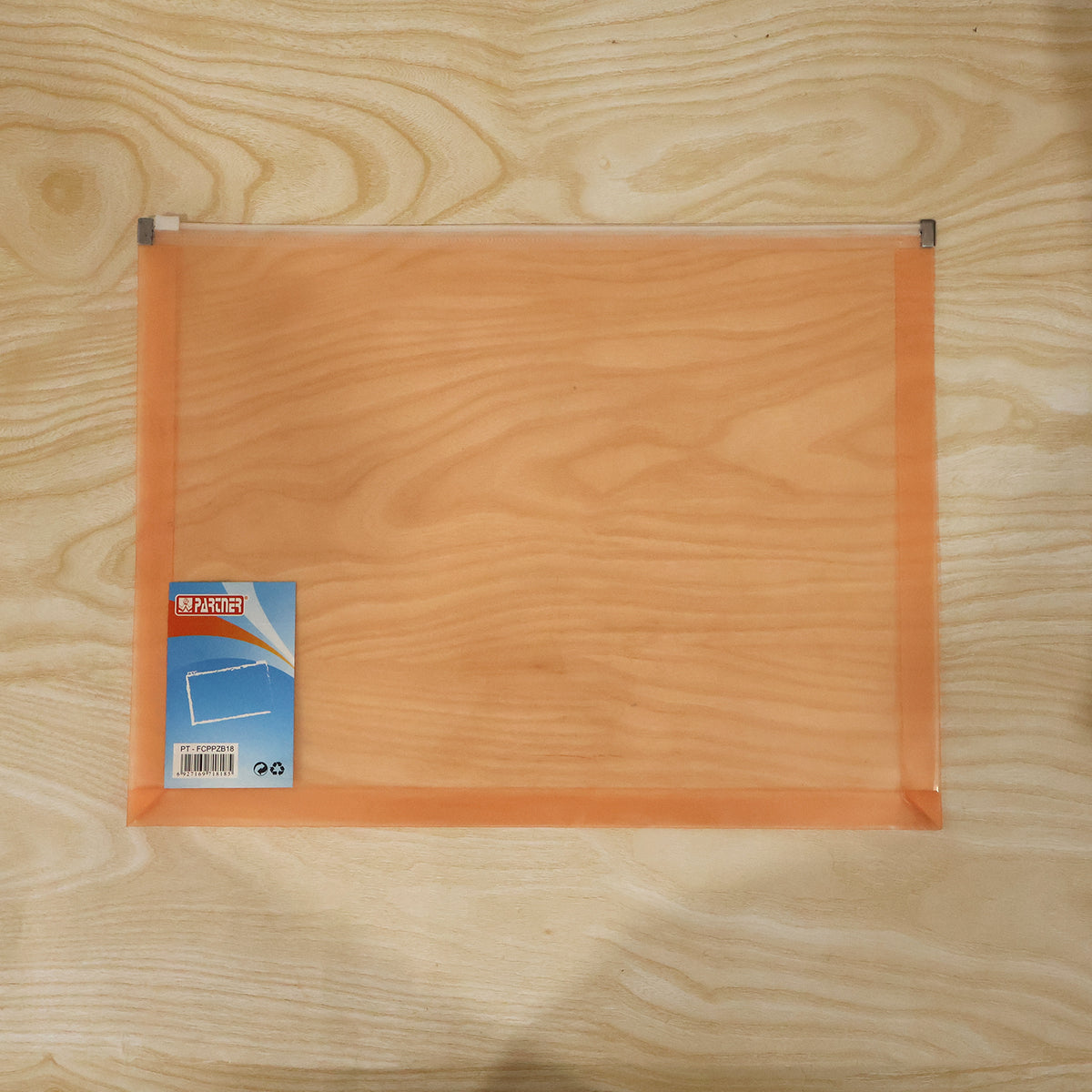 Convenient plastic document holder for receipts, bills, and project files