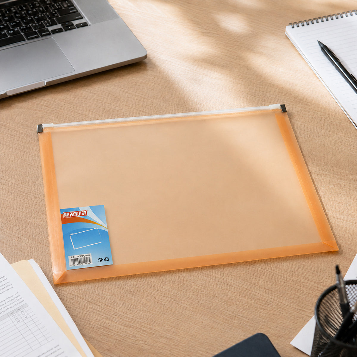 Close-up of plastic folder protecting certificates and important papers