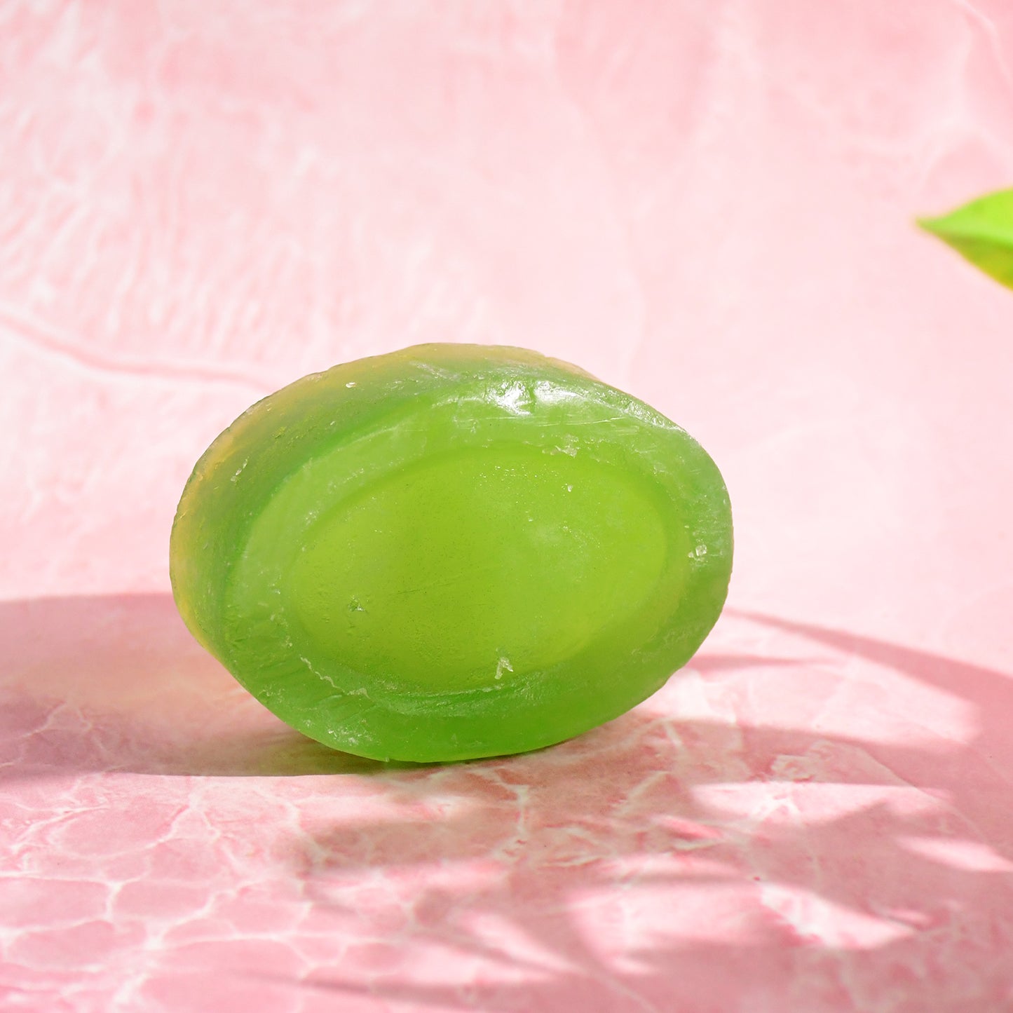 Doctor Chhoices Premium Aloe Vera Herbal Bath Soap (1 Pc)