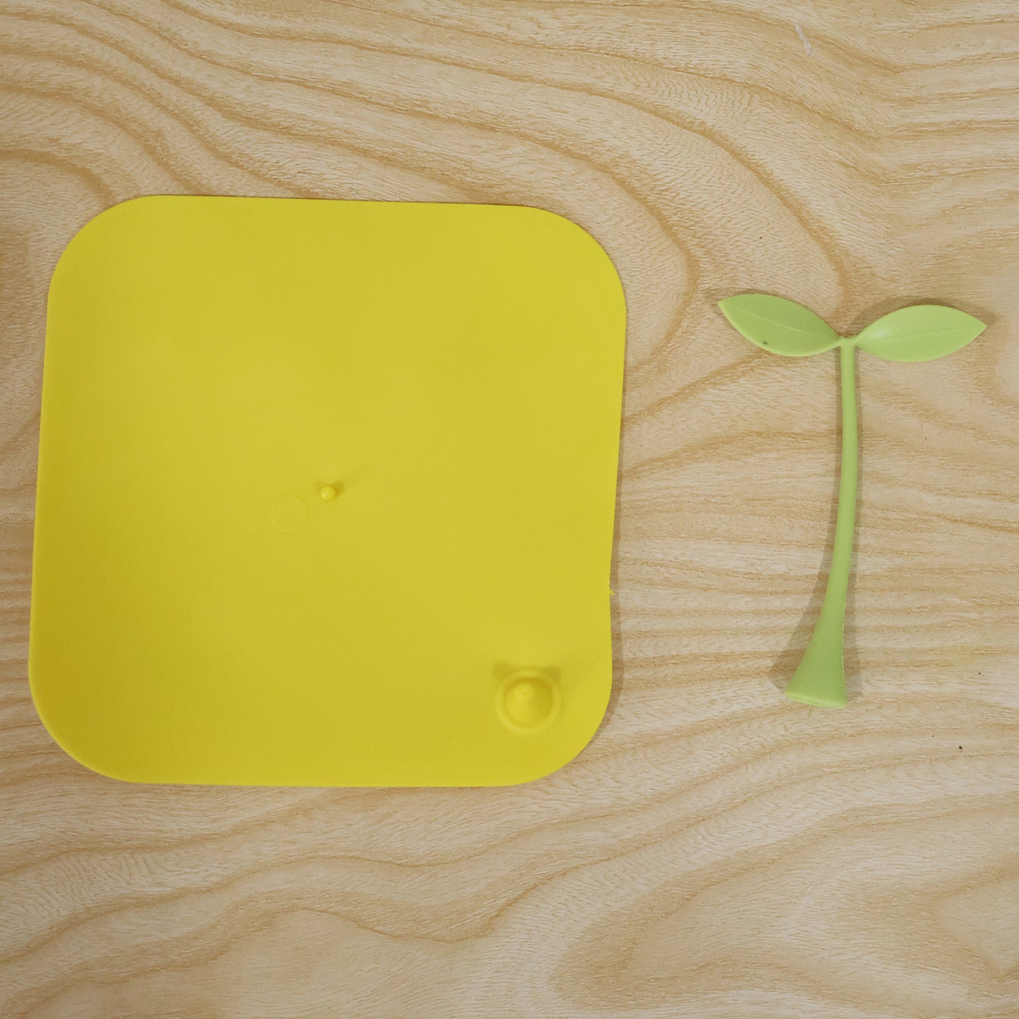 Silicone bean sprout floor drain cover live photo