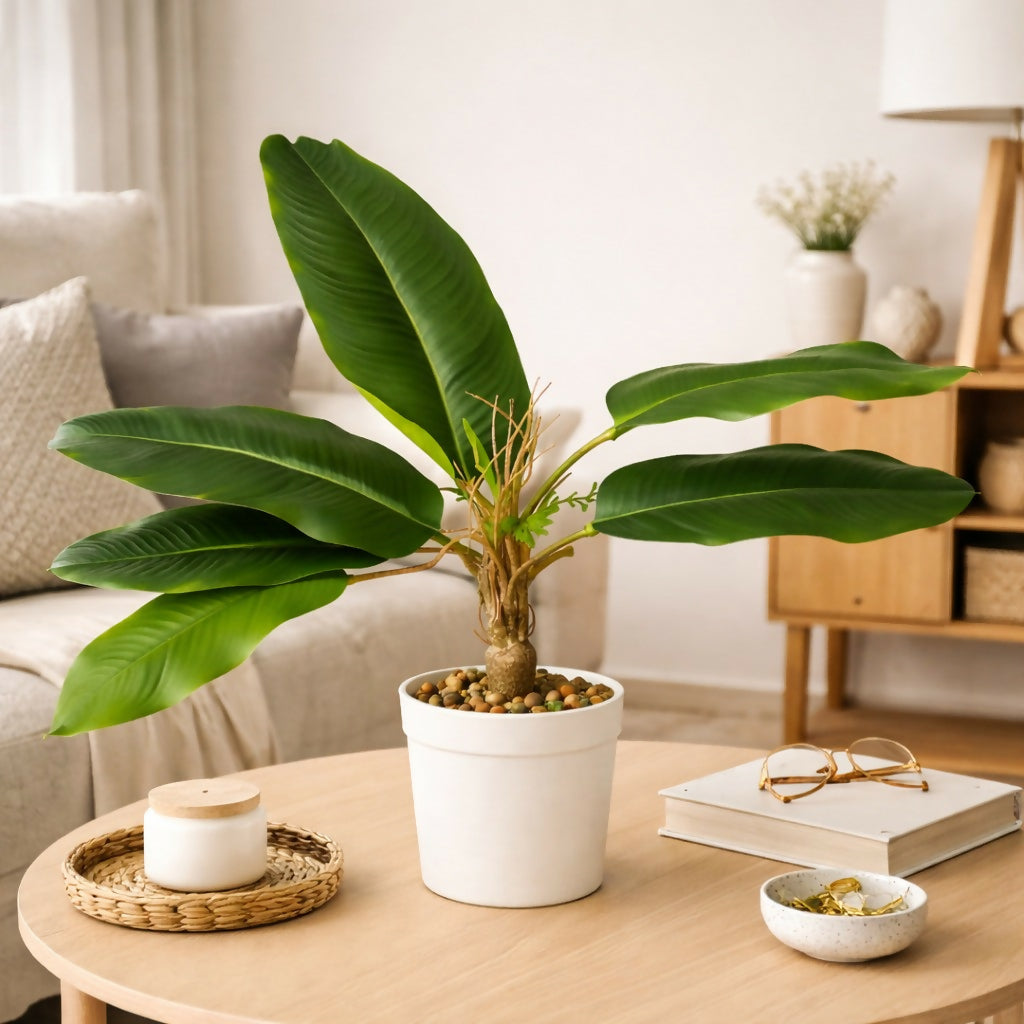 Artificial Large Leaf Tabletop Plant with Pot for Home & Office Décor