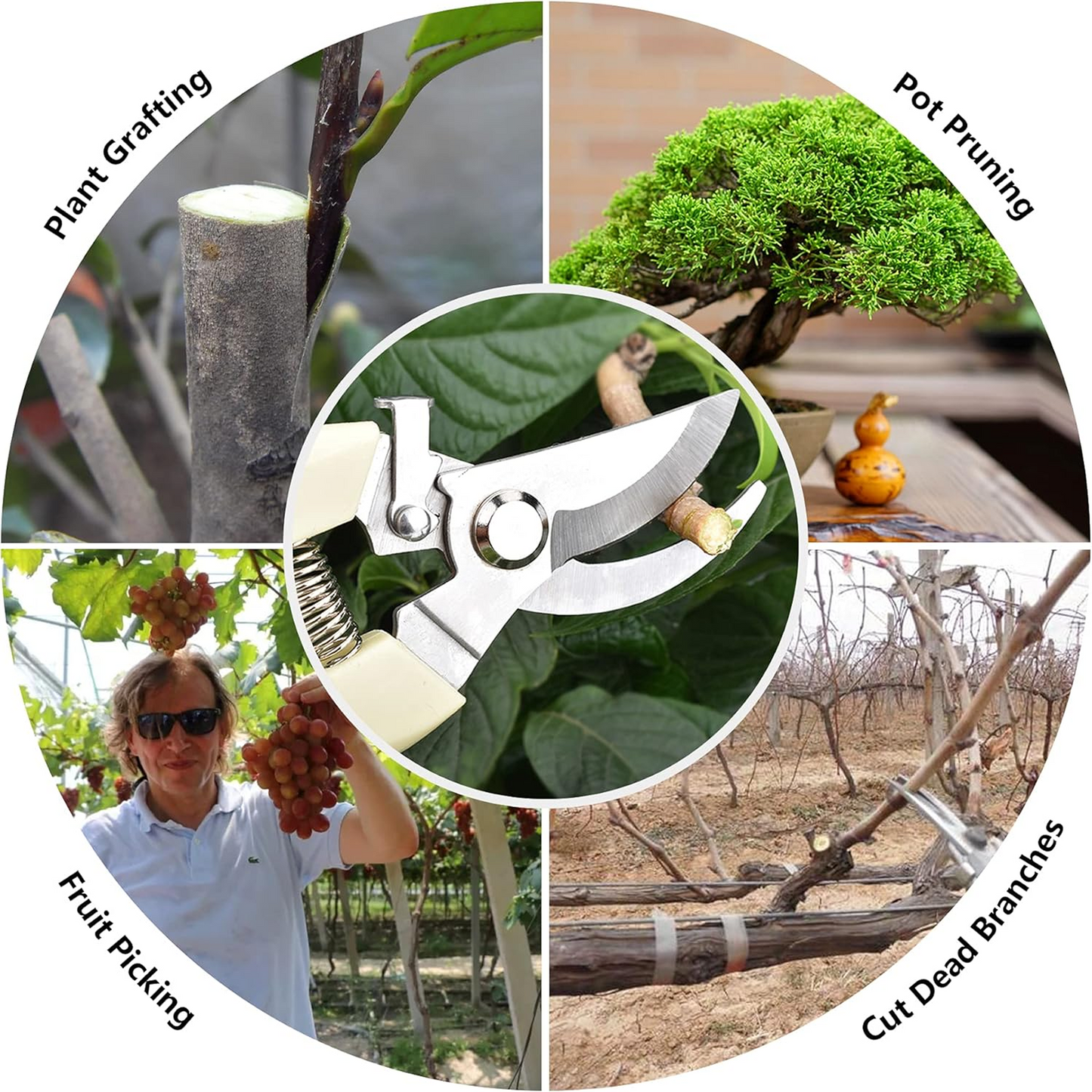 0465 સ્ટેનલેસ સ્ટીલ ગાર્ડન સિઝર્સ