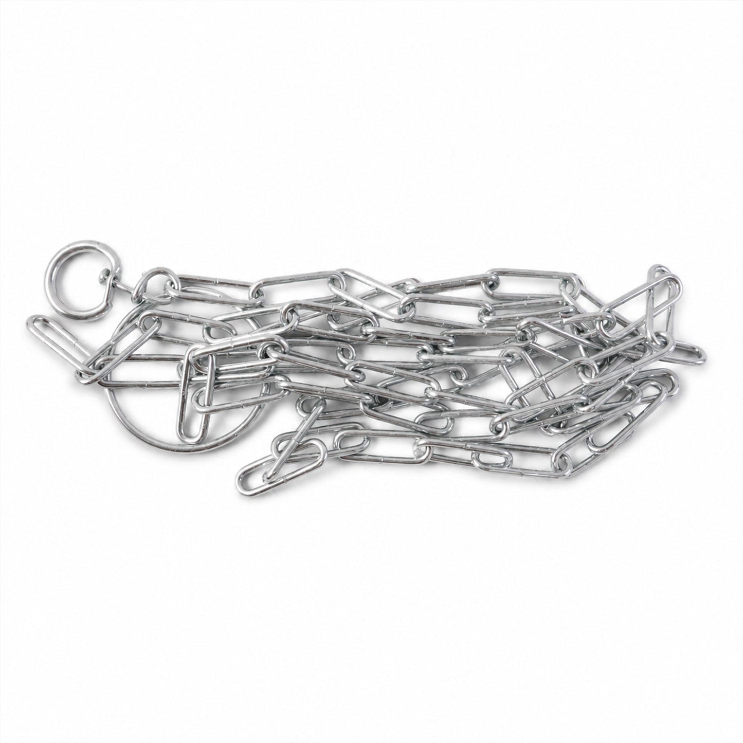 Dog chain leash white bg