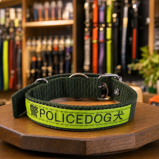 17058_nylon_dog_collar_with_metal_buckle hero