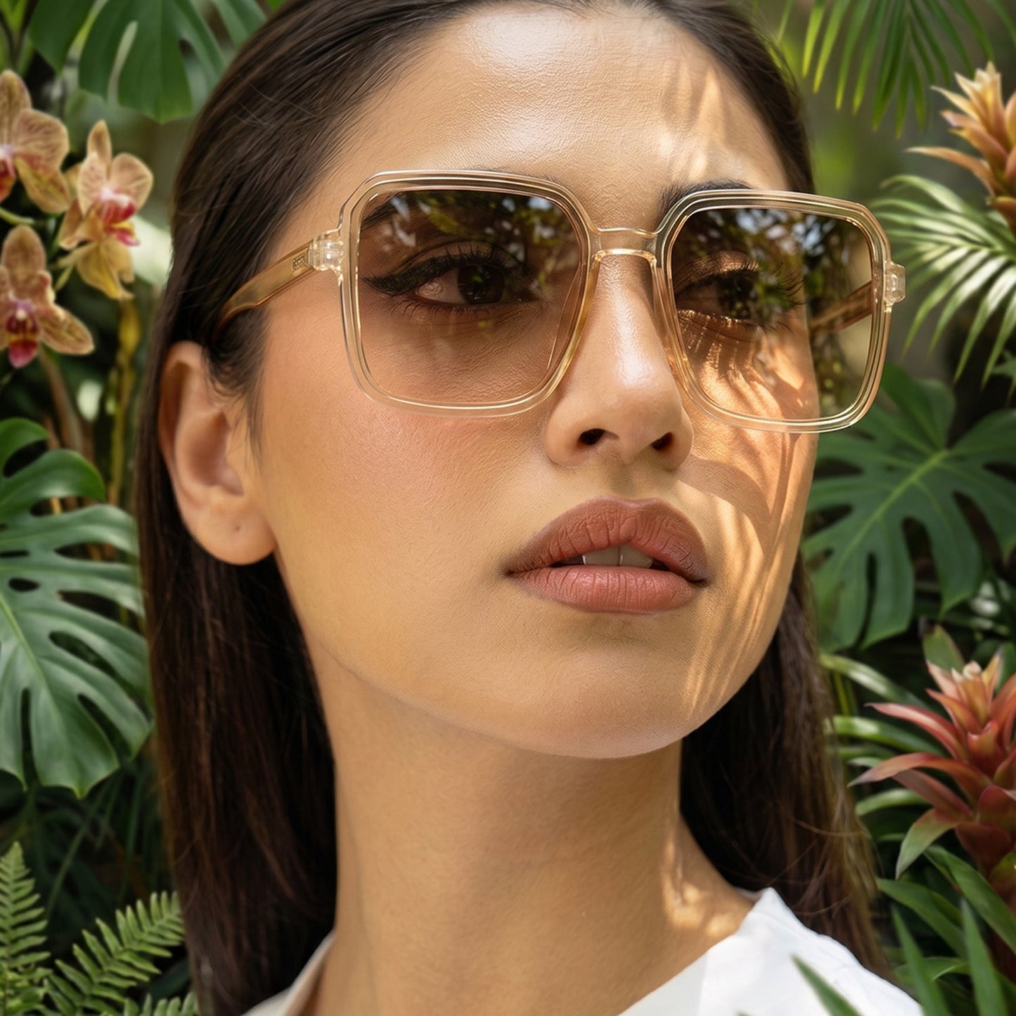19316 gold brown sunglasses live use