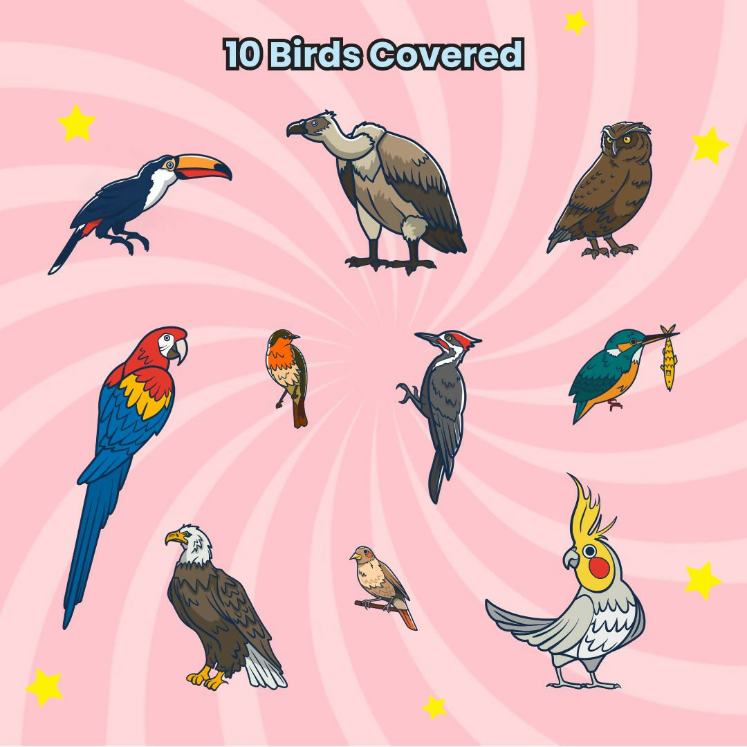 BIRD MYSTERY PUZZLE - AGE 3+ (38 PUZZLE PIECES) MDF PUZZLE SERIES