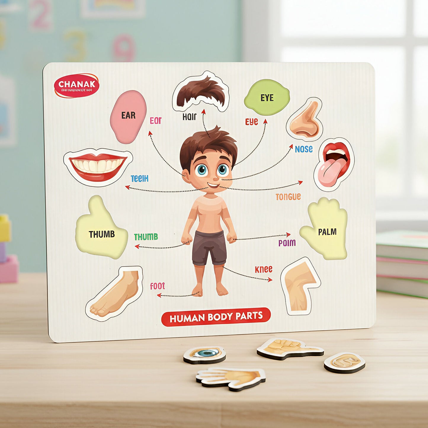 Wooden Human Body Parts Puzzle – Fun Early-Learning Board for Kids
