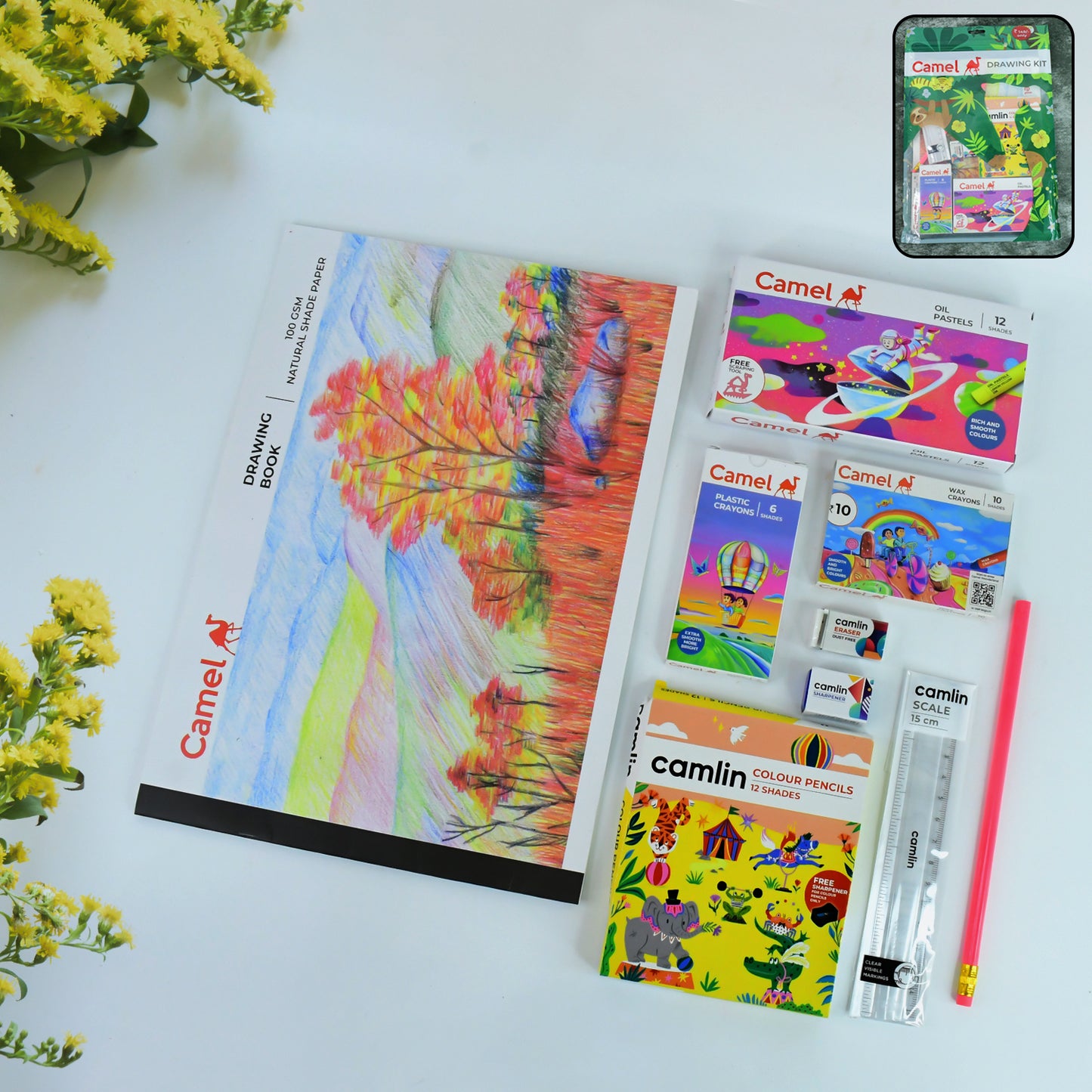 Camel Drawing Kit – Complete Creative Set for Young Artists
