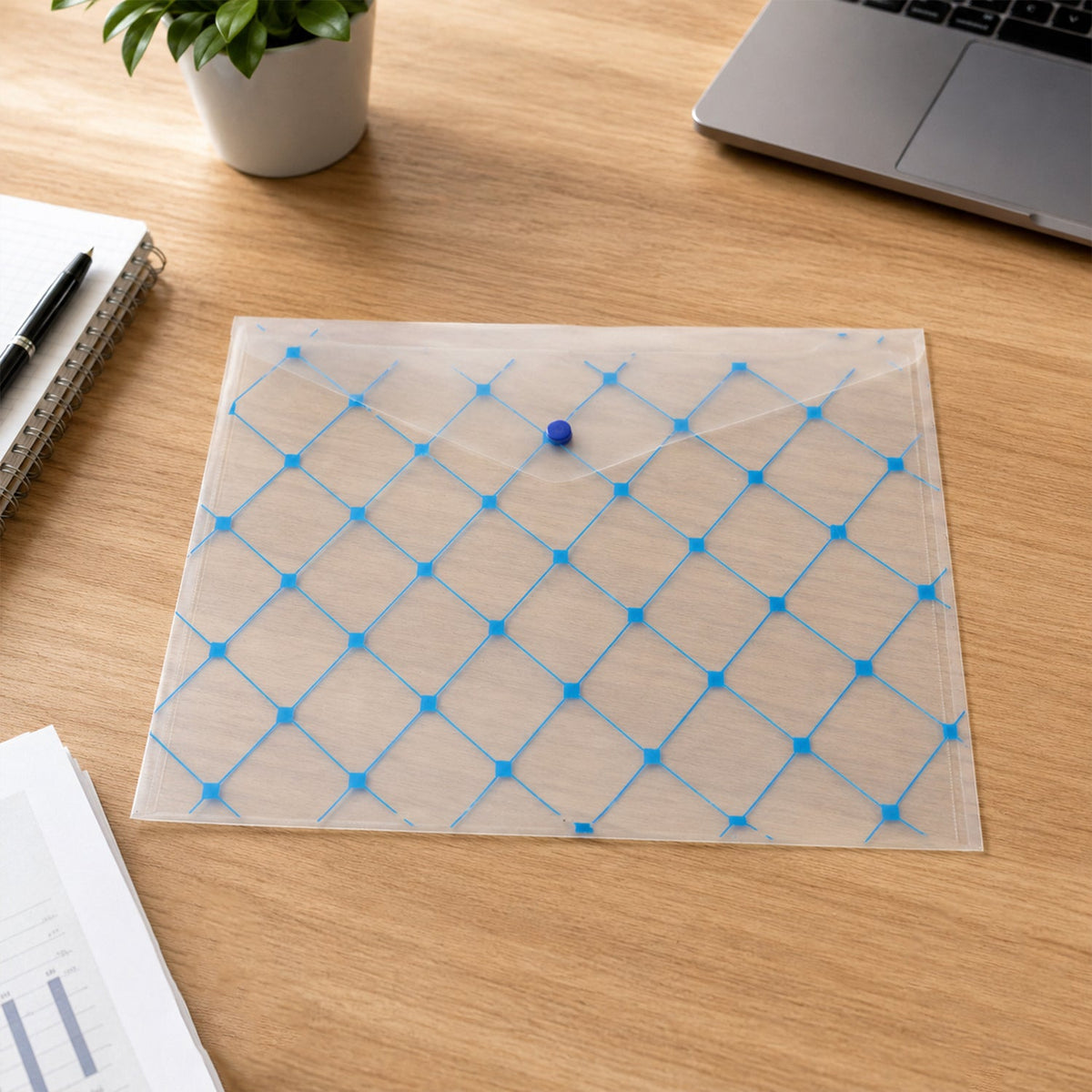 Open plastic document folder showing stored certificates and papers