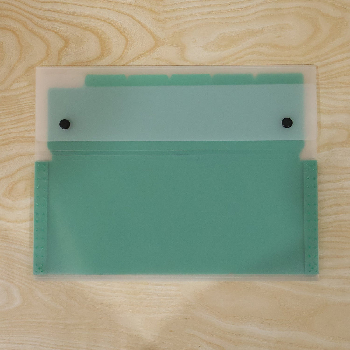 Inside view of plastic expanding file folder with sorted papers