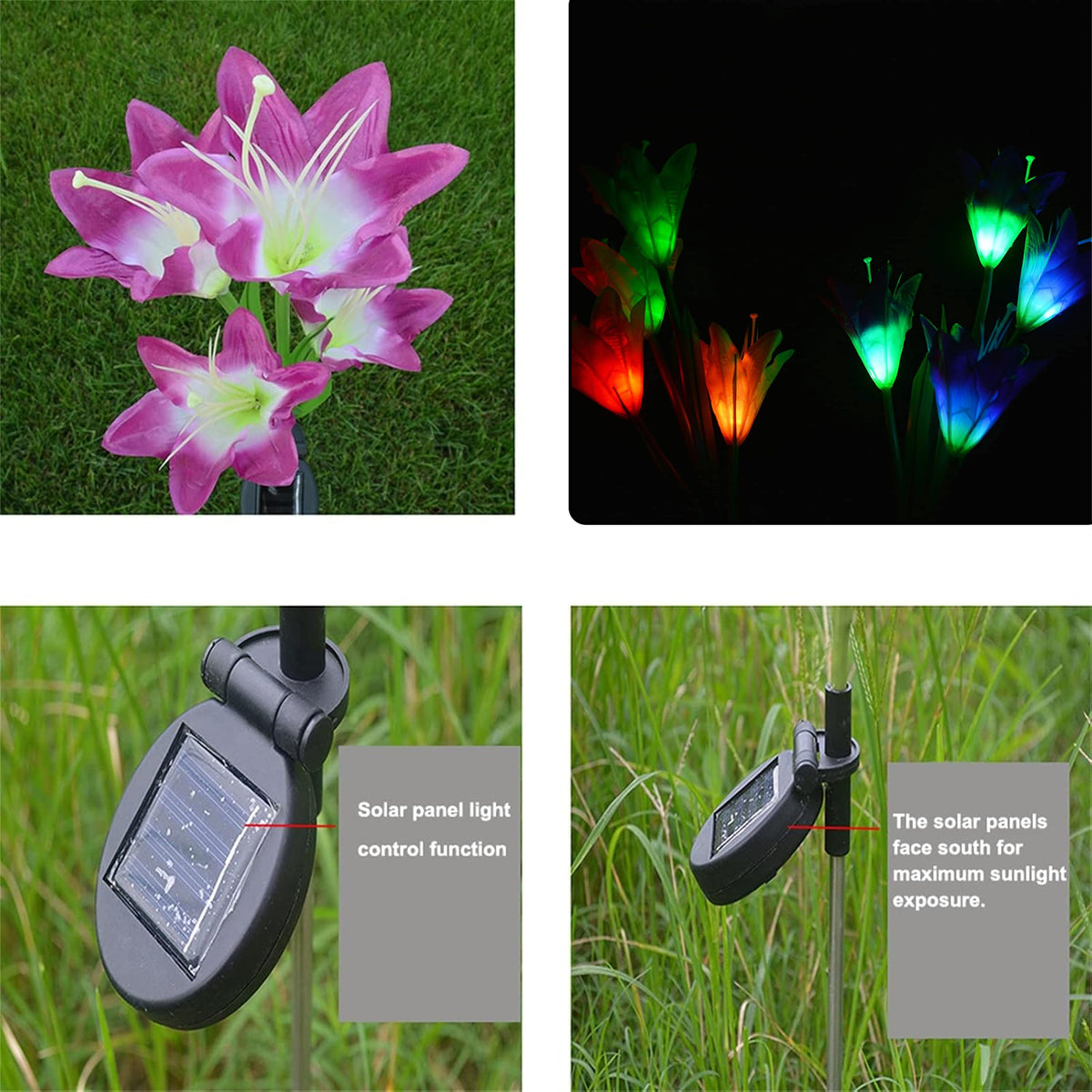 Solar flower light features