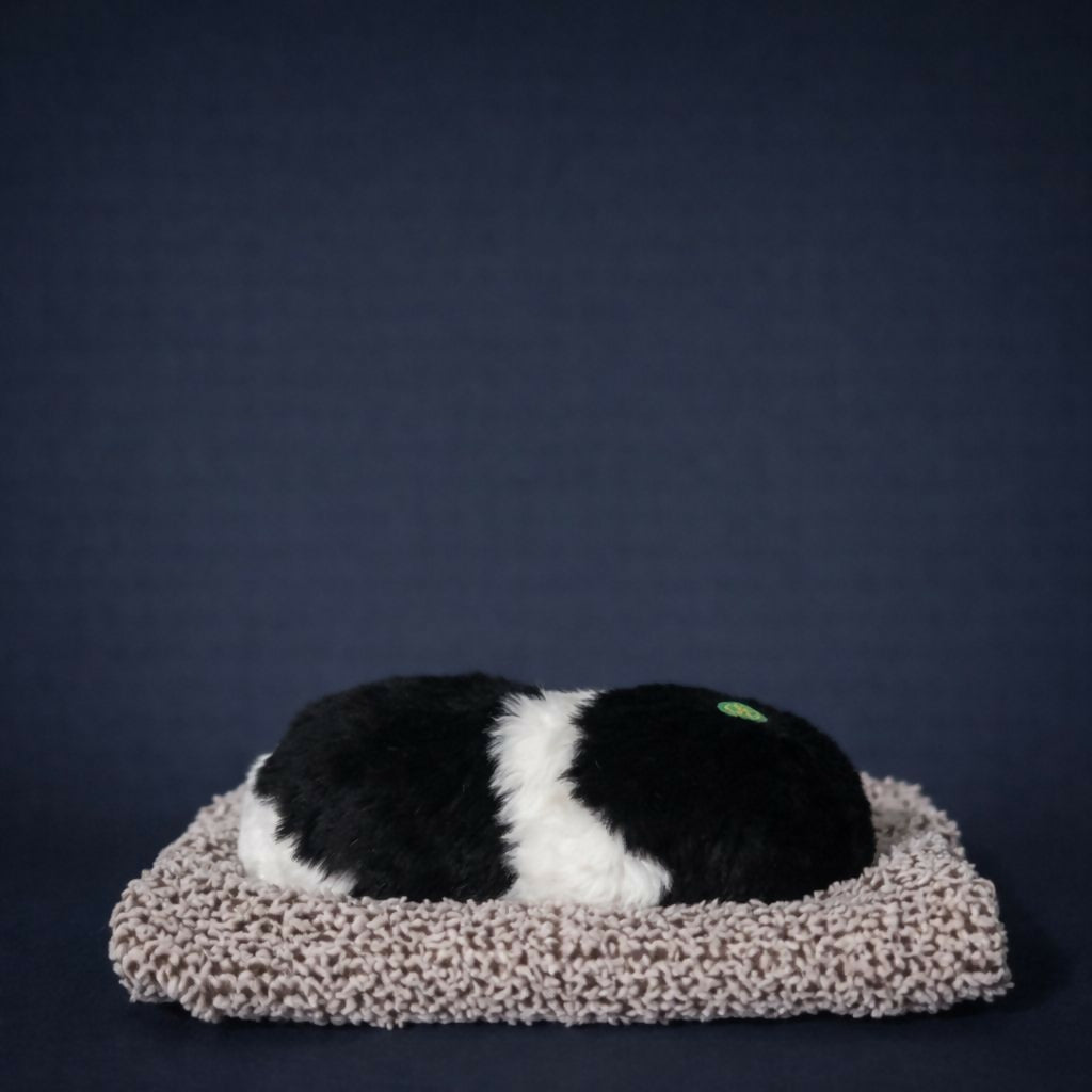 Realistic Sleeping Puppy Car Dashboard Decor Plush Toy