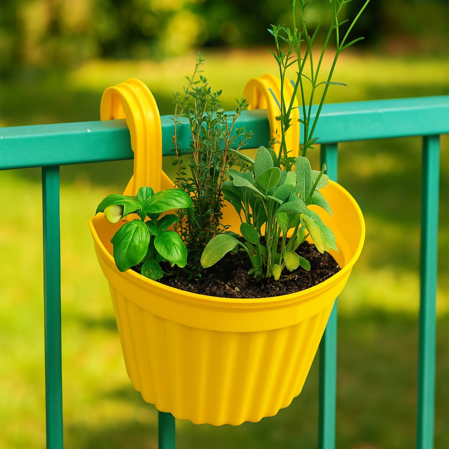 मल्टीकलर हैंगिंग प्लास्टिक प्लांटर्स आर्किड रेलिंग, प्लांटेशन के लिए, बालकनी और होम गार्डनिंग के लिए प्लांटर्स, इनडोर, आउटडोर (1 पीस)