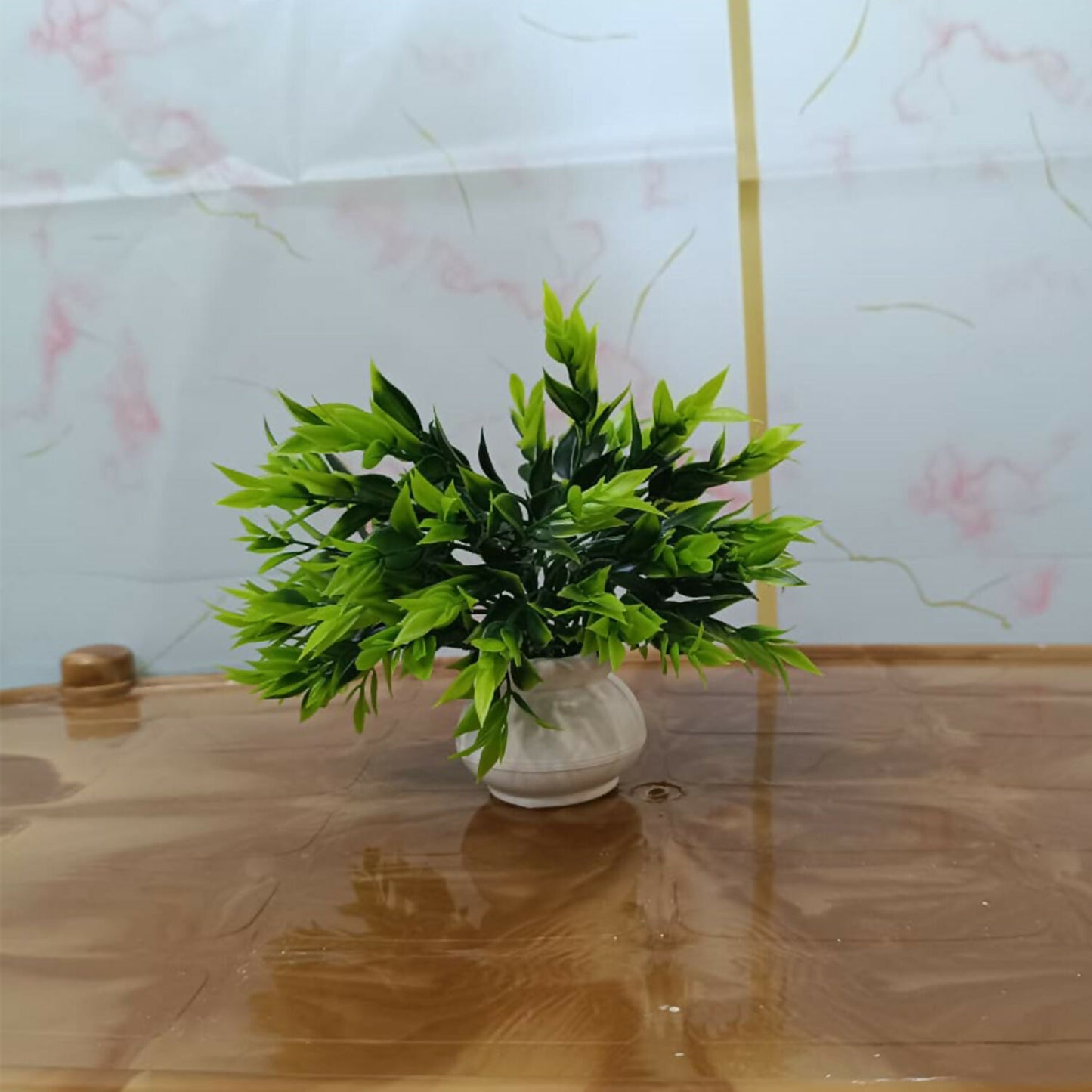 Plant-6