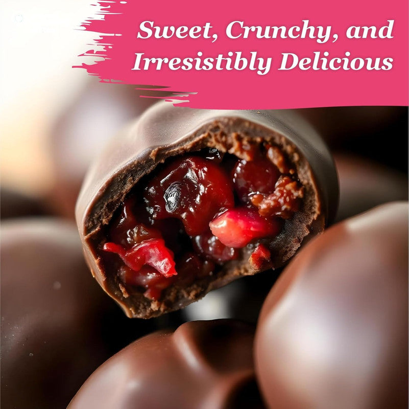 Oracle Choco Cranberry Dragees – Chocolate Coated Premium Cranberries (120gm)
