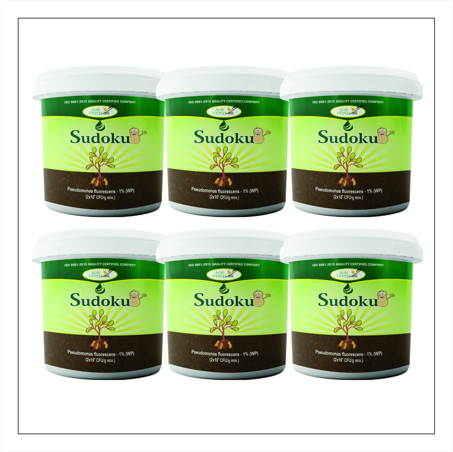 AgriVenture SUDOKU ( Pseudomonas Flurescens 1% WP) Promote Plant Growth And Health.Bactericide Organic Product BIO FUNGICIDES (2Kg)