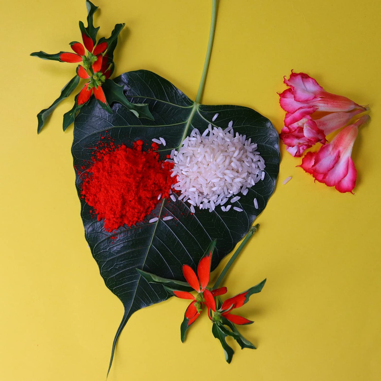 Effete Choco Beats chocolates included in the Rakhi combo gift set