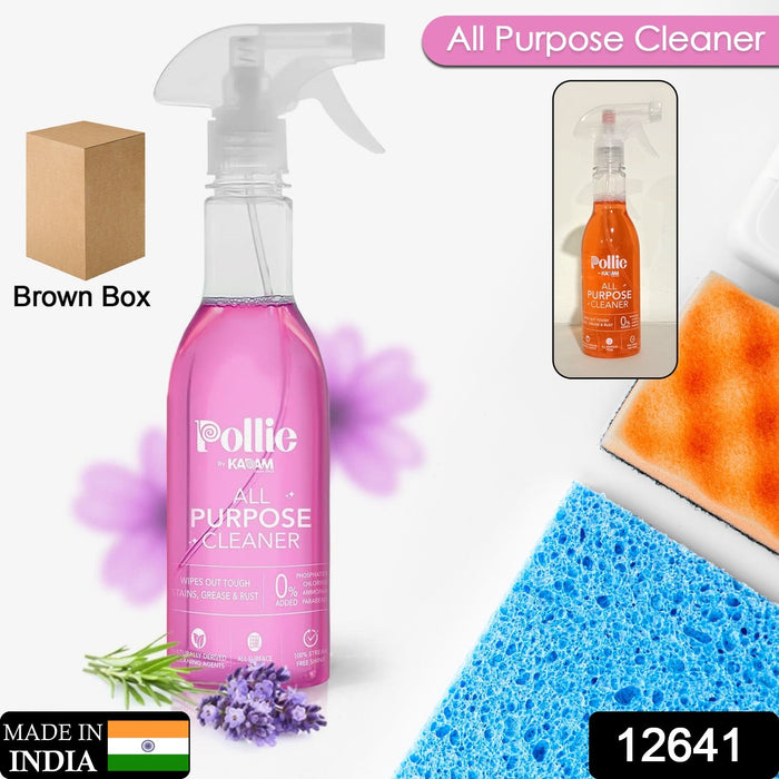 12641 All Purpose Cleaner | Kills 99.9% germs | Cleans Tough Stains, Grease and Rust on Gas Stove, Chimney, Kitchen Sinks, Walls, Rusty Surfaces (400 ml)