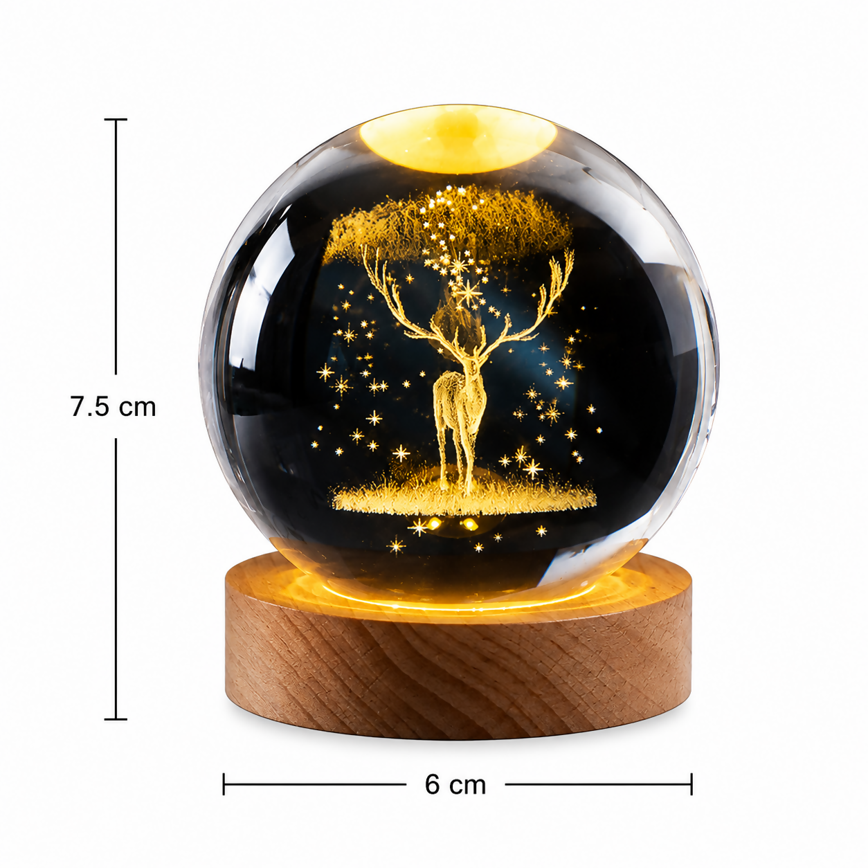 ChatGPT Image Jul 27, 2026, 01_39_07 PM