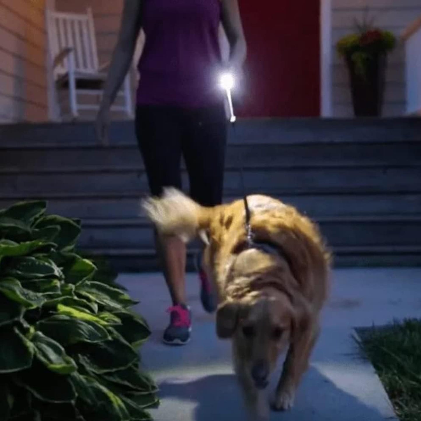 पोर्टेबल मिनी टॉर्च / फ्लैशलाइट LED शक्तिशाली हाई लुमेन पेन लाइट ले जाने में आसान, इमरजेंसी के लिए पोर्टेबल पॉकेट कॉम्पैक्ट टॉर्च 3 बैटरी संचालित (बैटरी शामिल नहीं / 1 पीसी)