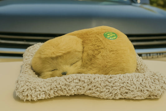 08A2A4A5-8CD5-49C9-9400-1B26FAF29E6E