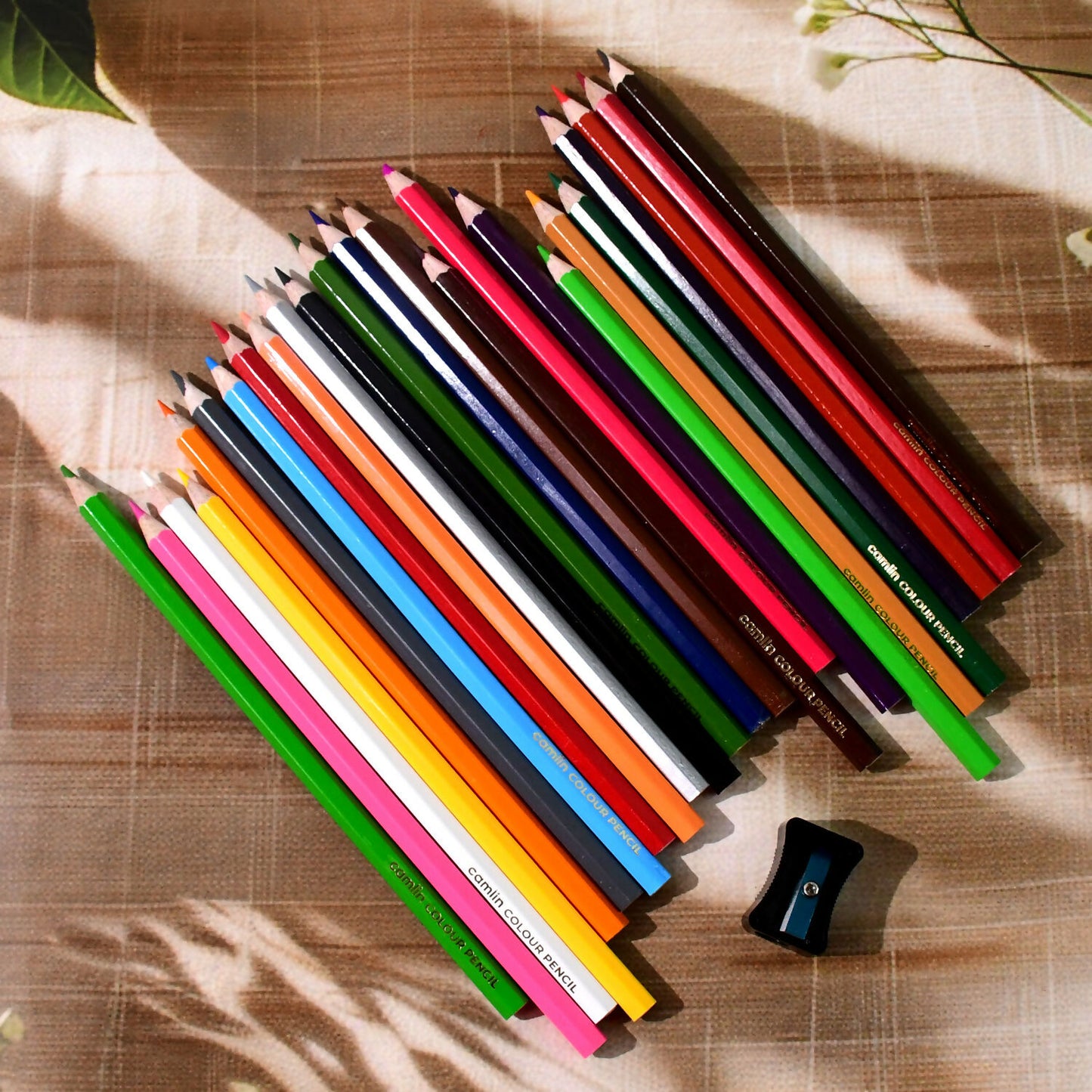 03_pencil-color