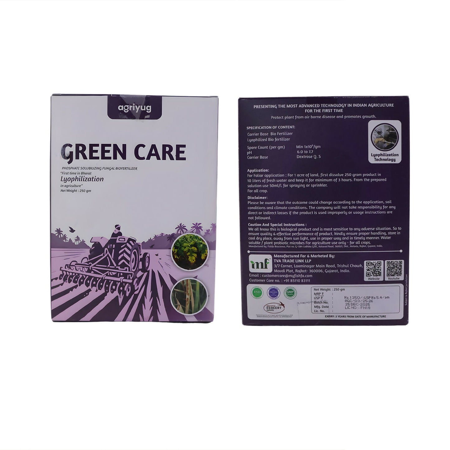 Spraying Green Care solution on vegetable crops for disease prevention