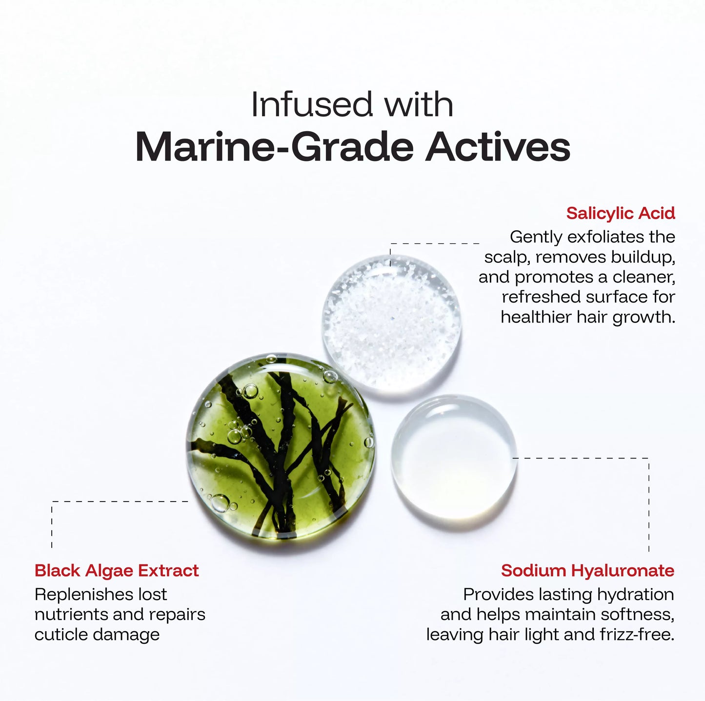 CINCINNUS Black Algae Extract Frizz Repair Hair mask