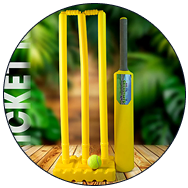 Ball & Racket Sports