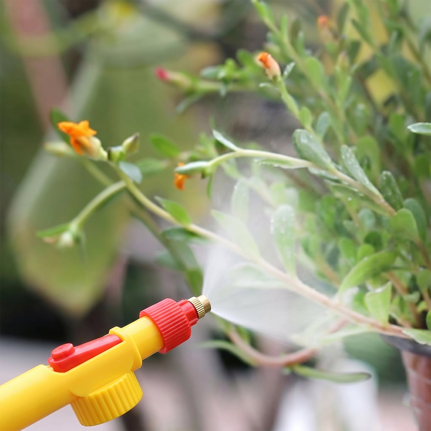 Bottle sprayer nozzle showing spray adjustment