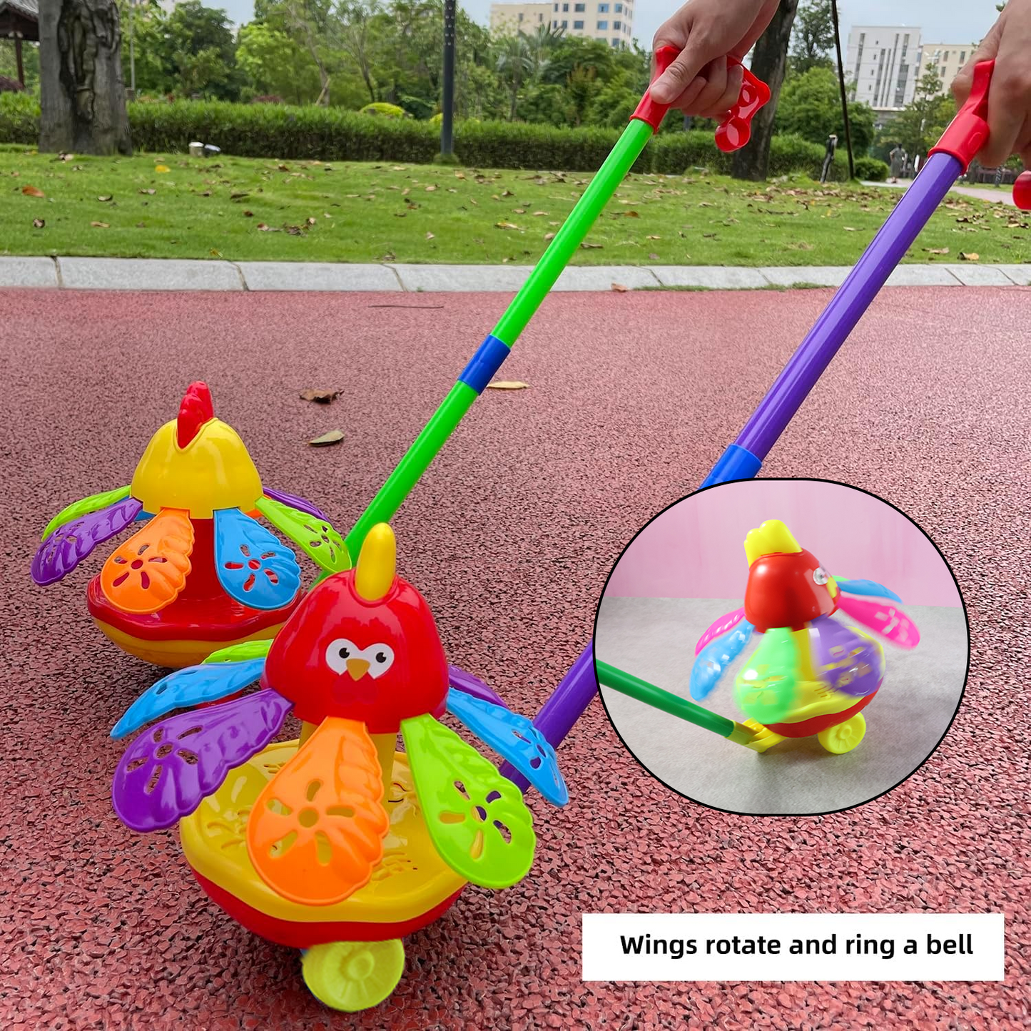 Chicken Push Toy