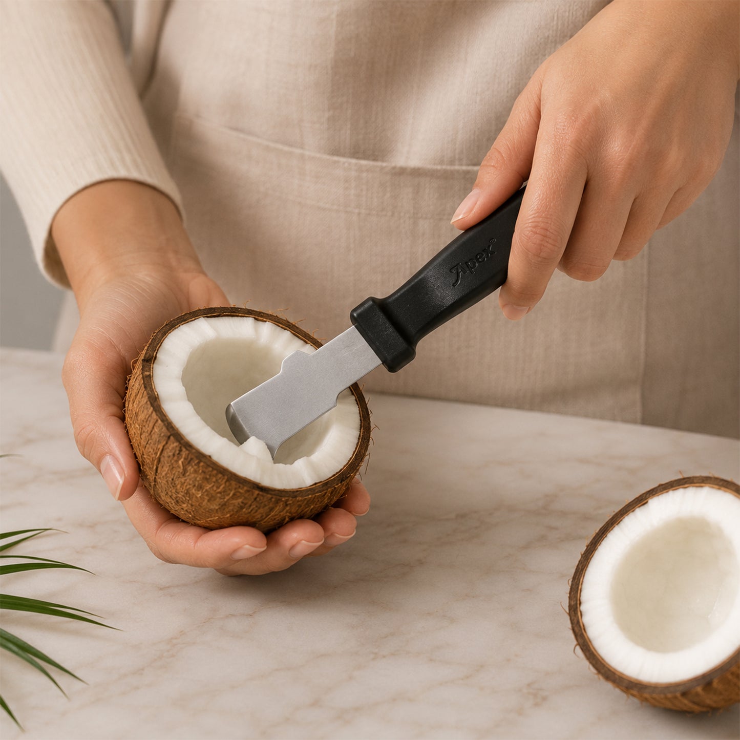 Apex Coconut Meat Removal Tool with Steel Blade and Grip Handle (1 Pc)