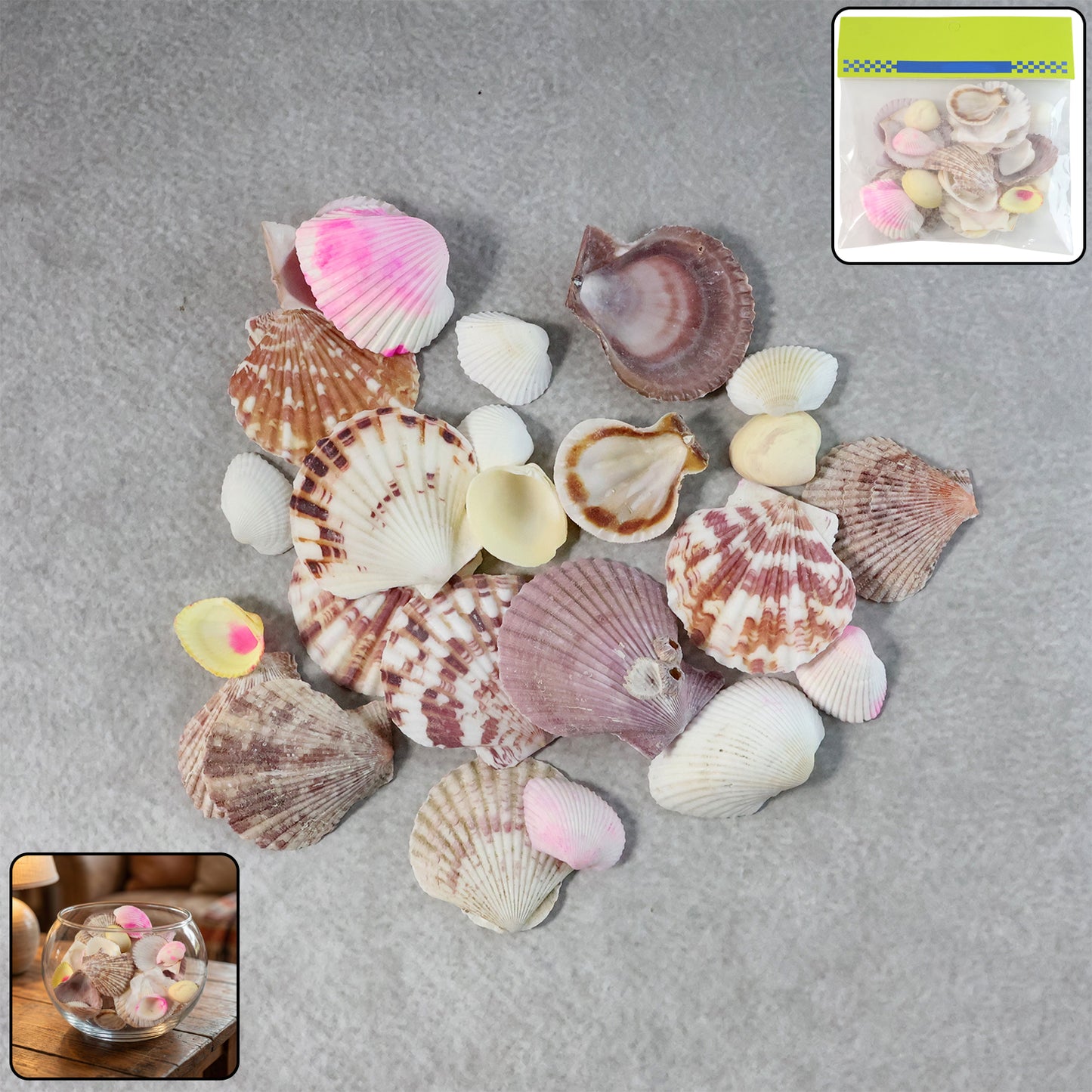 Decorative Seashell Set