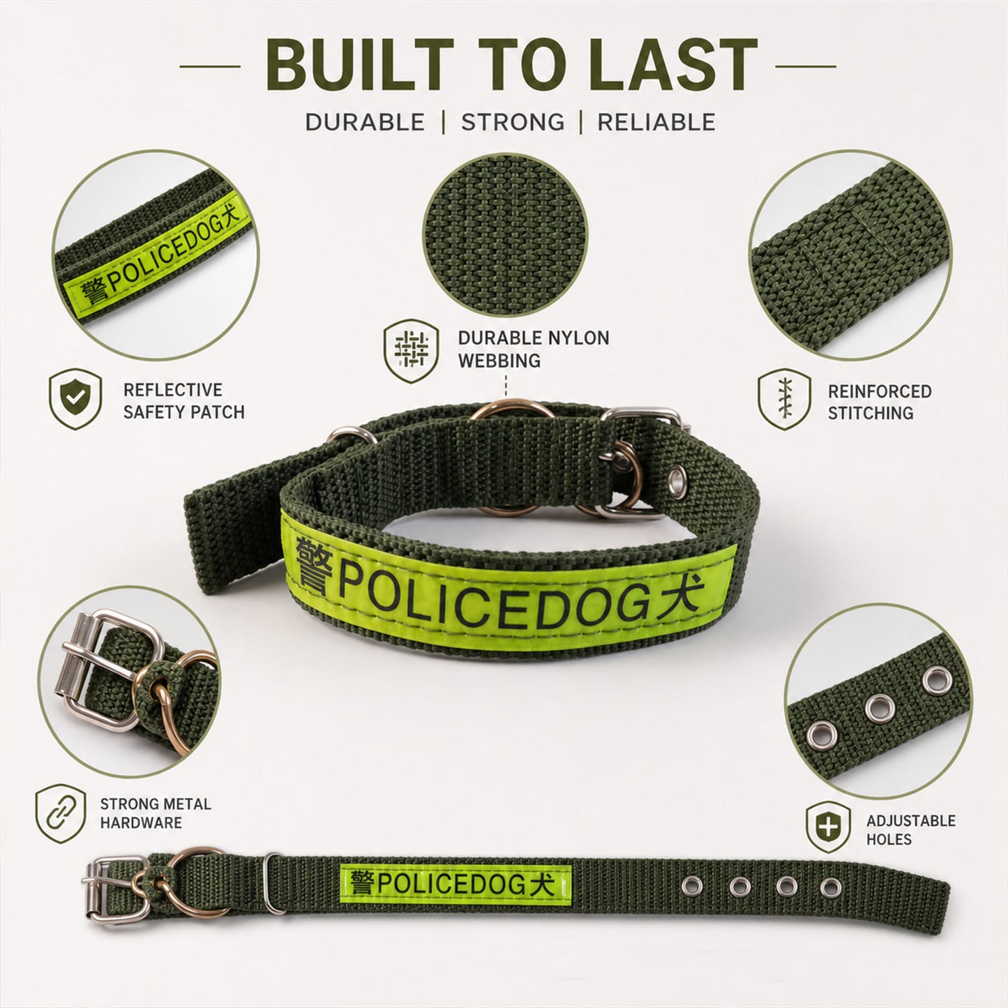 Adjustable nylon dog collar with D-ring for leash attachment