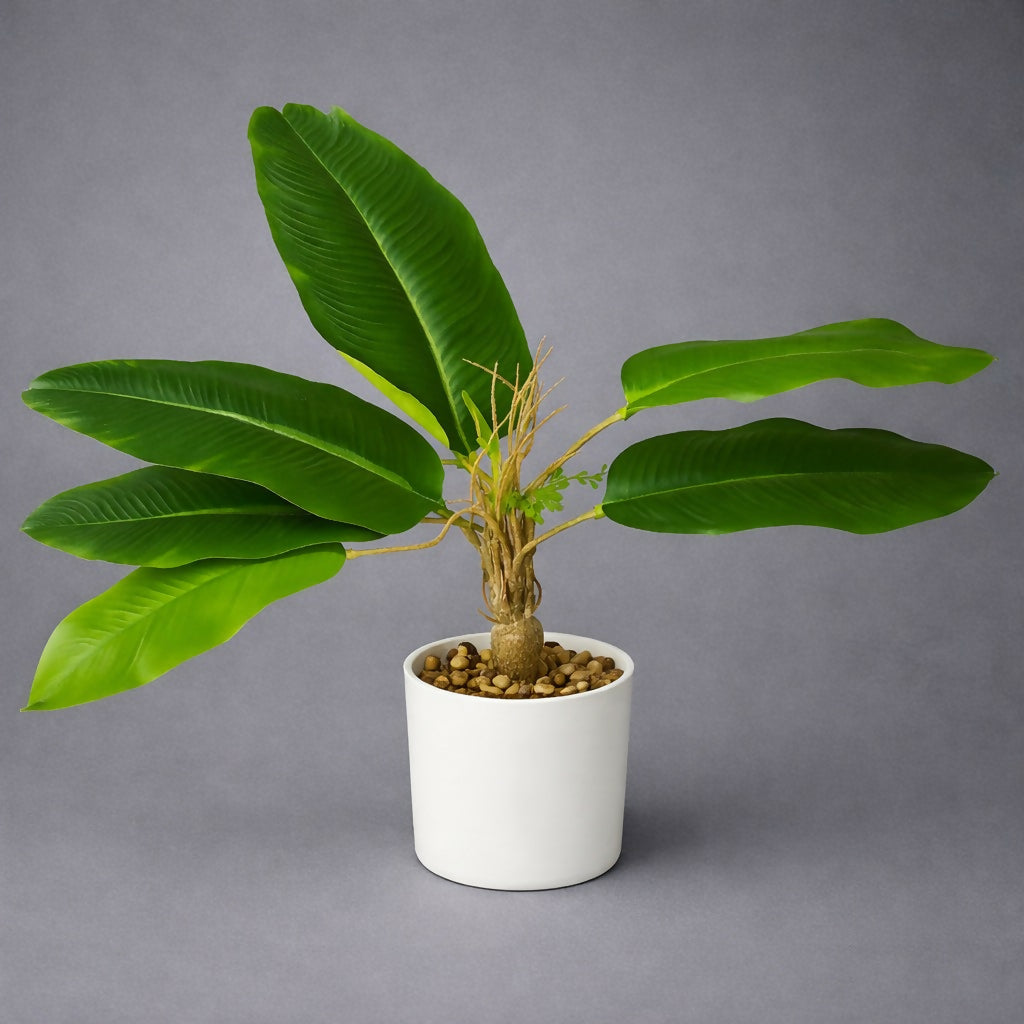 Artificial Large Leaf Tabletop Plant with Pot for Home & Office Décor