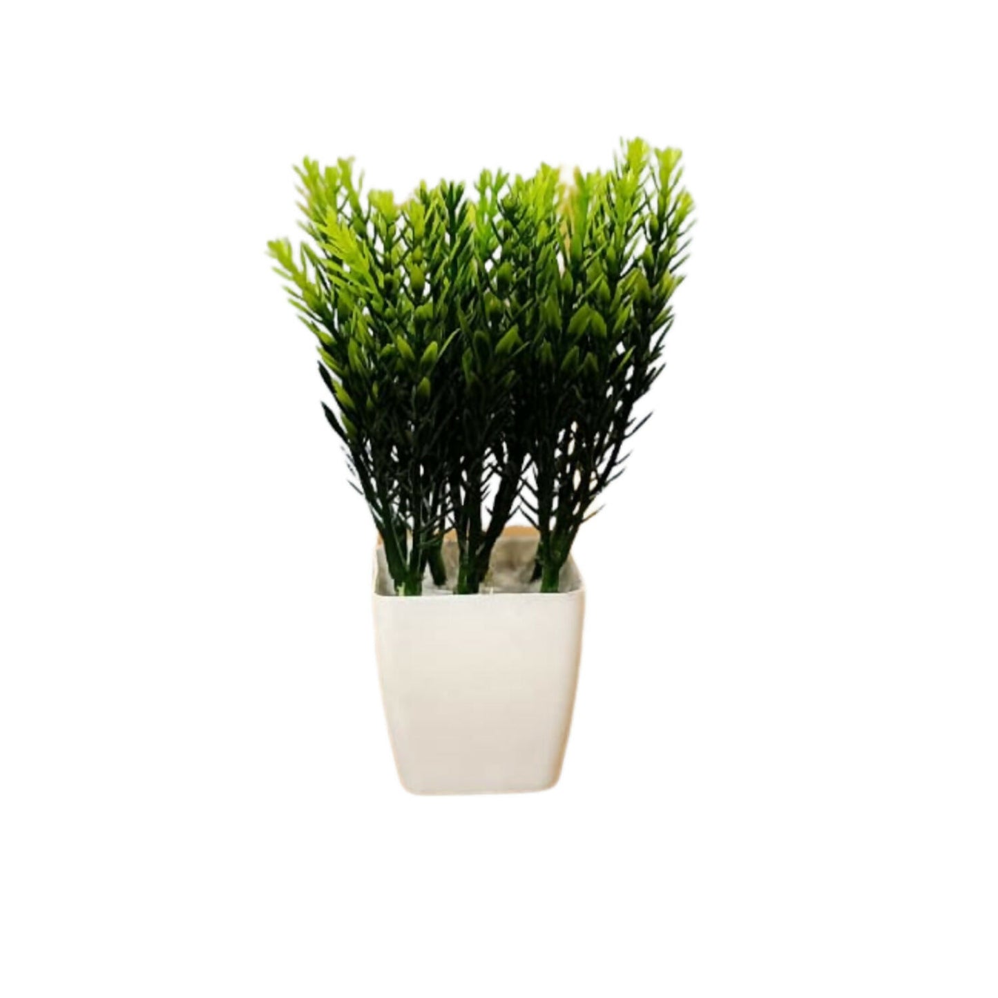 Plant-5
