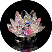 Seasonal Decorations