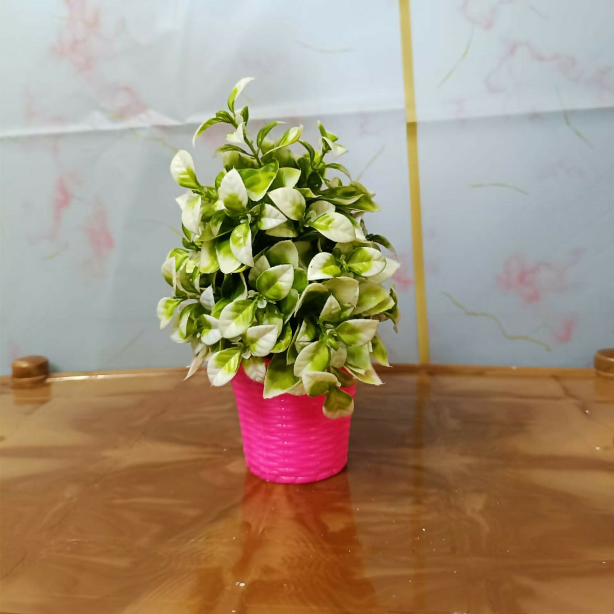 Decorative-Plant-07