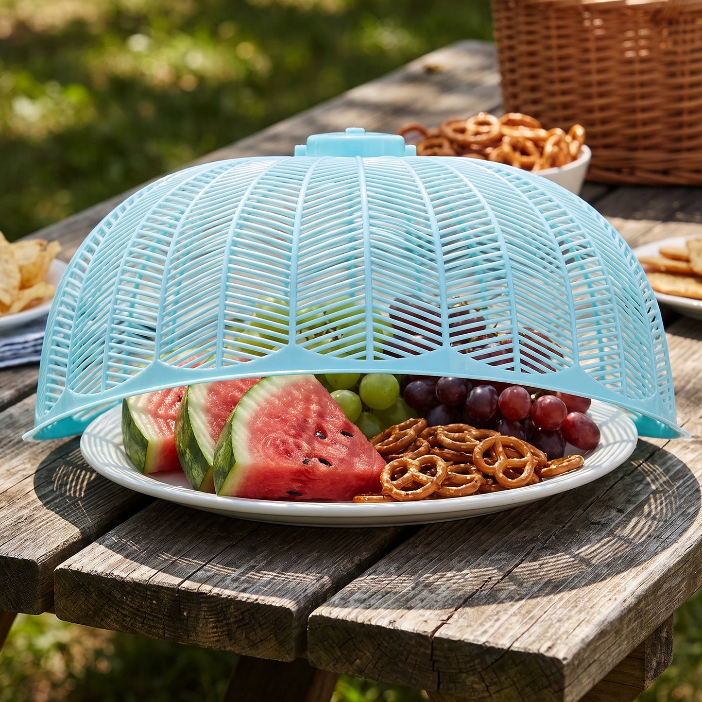 Plastic Mesh Food Cover Dome with Handle for Dining Table 21x10 Cm (1 Pc)
